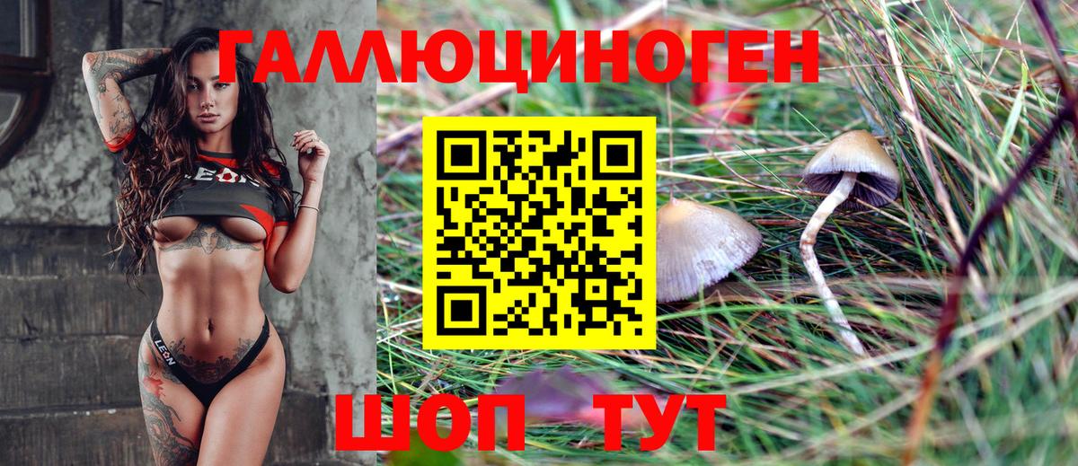 Псилоцибиновые грибы MAGIC MUSHROOMS Зеленокумск